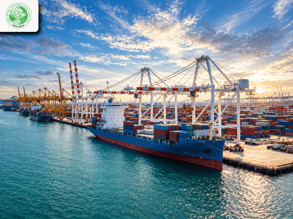 U.S. Trade Trends and Their Impact on Global Import Activities